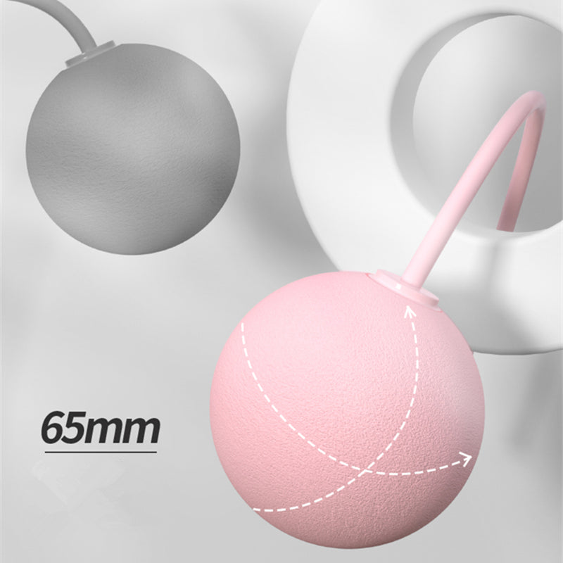 Training Jump Rope Set Fitness And Silicone Handles For Women Men Kids With Speed Cordless Ball Adjustable Anti-Tangle PVC Wire