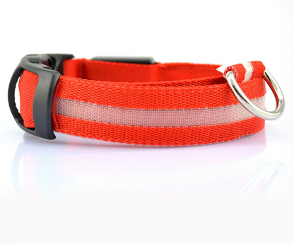 Safety Dog LED Collar red