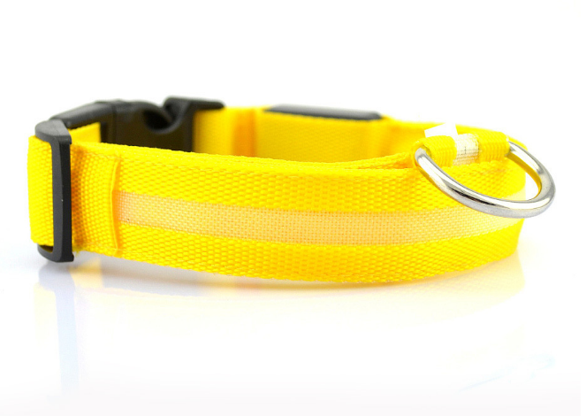 Safety Dog LED Collar yellow