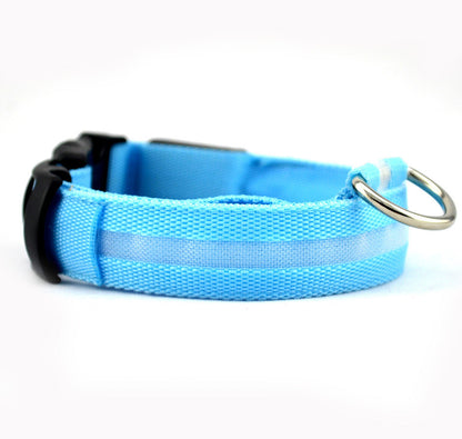 Safety Dog LED Collar blue