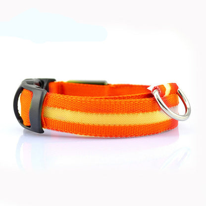 Safety Dog LED Collar orange