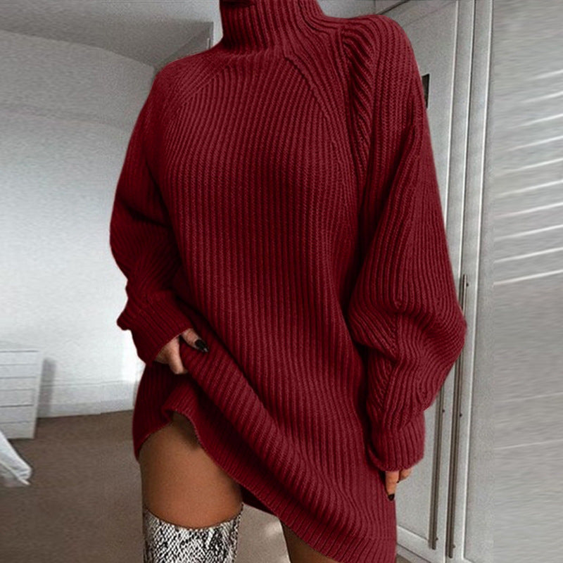 Solid Turtleneck Long Sweater Winter Warm Women Sweater Dress 4