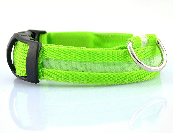 Safety Dog LED Collar green