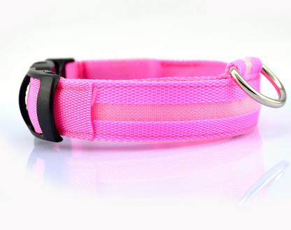 Safety Dog LED Collar pink