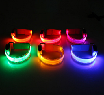 Safety Dog LED Collar 3