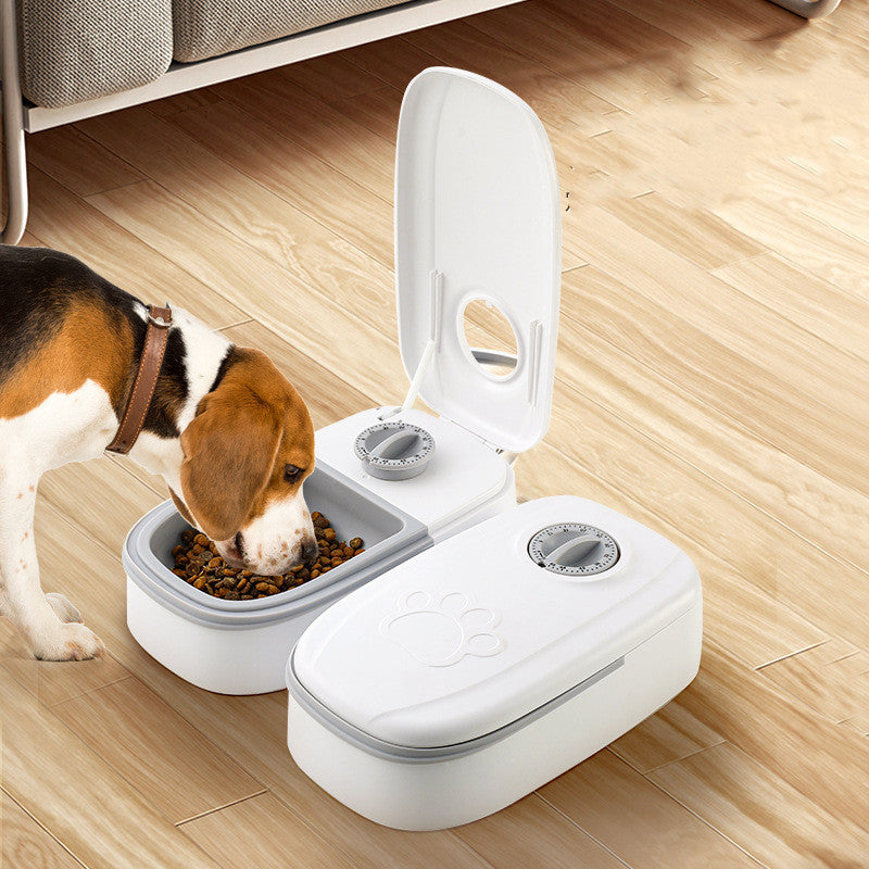 Automatic Pet Feeder Smart Food Dispenser For Cats Dogs Timer Stainless Steel Bowl Auto Dog Cat Pet Feeding 6