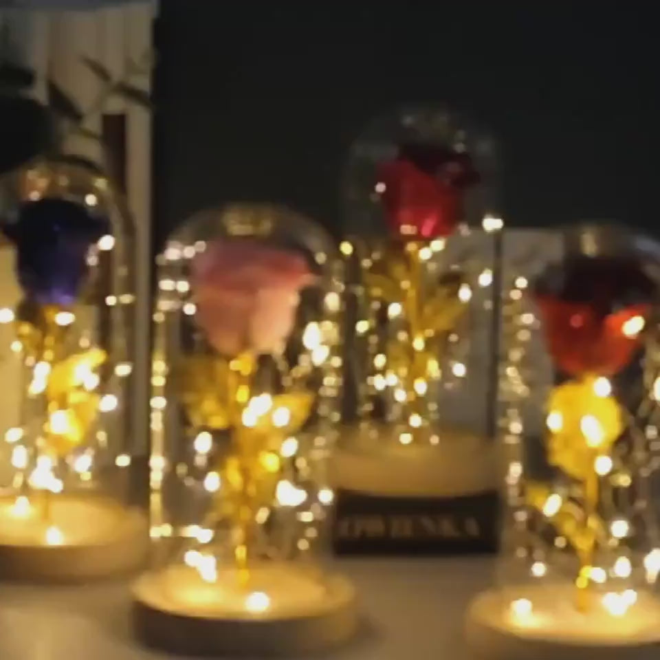 Valentines Day Gift For Girlfriend Eternal Rose Flowers LED Light In Glass Cover video1