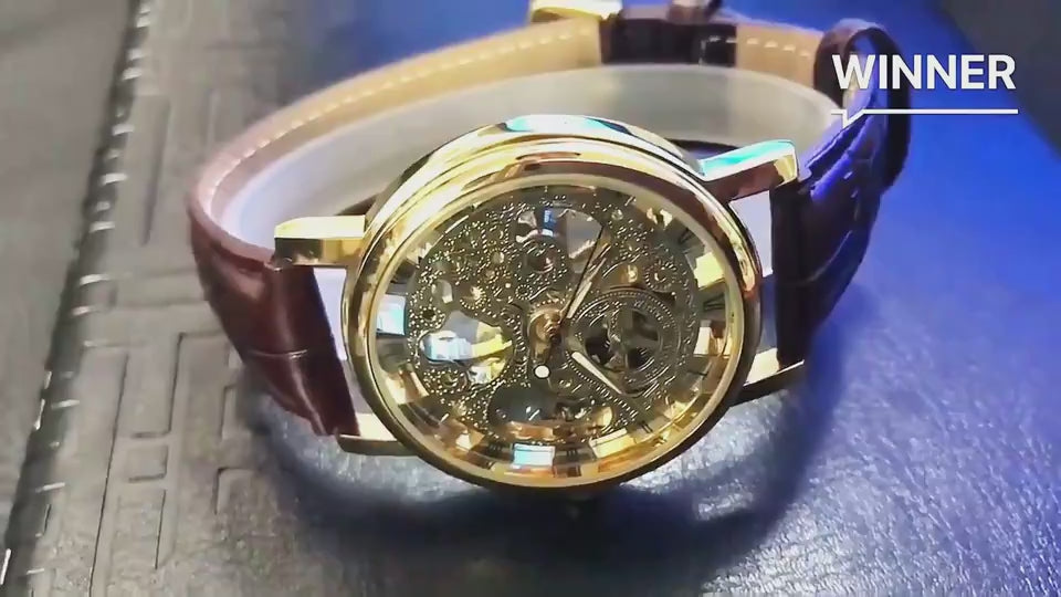 Faax Transparent Skeleton Men's mechanical watches vd