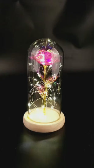 Valentines Day Gift For Girlfriend Eternal Rose Flowers LED Light In Glass Cover video